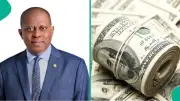 Nigeria's external reserves hit $52bn, highest in 17 years