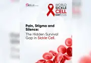Nigeria's Sickle Cell Survival Gap: A Call for Blood Donation and Action