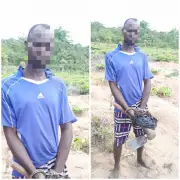 Oyo Police Arrest Two for Exhuming Human Skull from Cemetery