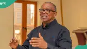 Peter Obi Denies Division Allegations in 2027 Election Row with Sheriff