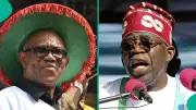 Peter Obi Urges Tinubu Not to Seek Re-election in 2027, Cites Lack of Capacity
