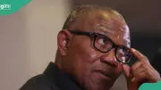 Peter Obi's Greatest Achievement: Raising Leadership Standards, Says Strategist