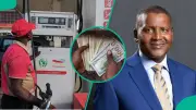 Petrol Prices May Rise as Dangote Refinery Eyes Dollar Sales: IPMAN Warns