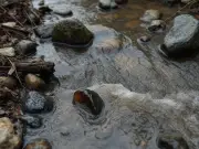 Plateau State Records 441 Cholera Cases, 14 Deaths Since June