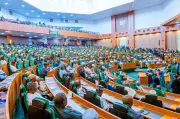 Reps Seek Comprehensive Audit of Nigerians Losses in South Africa Xenophobic Violence