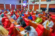 Senate adopts report on unimplemented resolutions, MDAs ignore directives