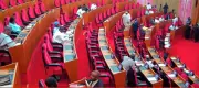 Senate Approves N403.1 Billion for Nigeria Police Trust Fund 2025/2026 Budgets