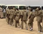 Senate Asks FG to Halt Rehabilitation of Boko Haram Members