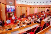 Senate passes Legal Practitioners Act repeal, Proceeds of Crime bills