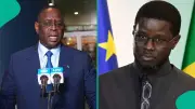 Senegal President Faye Endorses Macky Sall's UN Secretary-General Bid