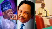 Shehu Sani Warns Opposition US Lobby Against Tinubu Could Harm Nigerians