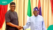 Tinubu Appoints Fayose, Wike, Other PDP Chieftains: Full List Emerges