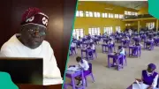 Tinubu Couldn't Pay WAEC Fees in 2000 as Lagos Governor, Opted for Cheaper NECO