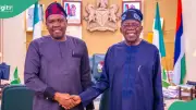 Tinubu's aide Bwala says Al Jazeera apologised privately over interview