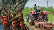 Top 6 Sectors Attracting Billions in Investments to Nigeria in 2026