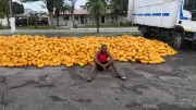 Troops intercept truck with illicit drugs on Lagos-Calabar road, driver arrested
