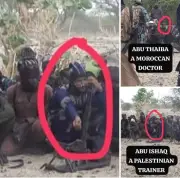 Troops Repel ISWAP Attack in Borno, Uncover Foreign Facilitators