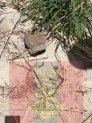 Two soldiers, CJTF member killed repelling ISWAP attack on Borno base