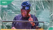 UN Did Not Pass Vote of No Confidence on Tinubu's Government, Fact-Checkers Confirm