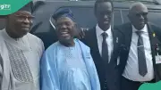 University of Ibadan Appoints Professor Peter Olapegba as New Vice Chancellor