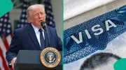 US Pauses Visa Operations in 3 African Countries Over Ebola Outbreak