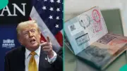 US Visa Waiver Program: Full Requirements for Eligible Countries Released
