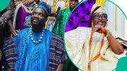 VDM Responds to Oluwo's Call for Political Participation: Ratel Movement's Next Steps