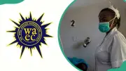 WAEC Subjects for Nursing in Nigeria: Compulsory, Optional & Career Paths