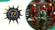 WAEC Subjects for Petroleum Engineering & Top Nigerian Universities