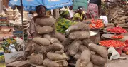 Why garri, tomatoes, crayfish prices rise despite Nigeria's inflation dip