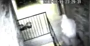 Woman arrested for 2012 murder of woman stabbed 100 times in apartment