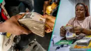 Women Repay Loans Better Than Men in Nigeria, New Report Shows