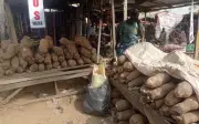 Yam Prices Surge in Enugu Markets: Traders, Consumers Alarmed