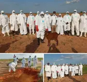 Yobe Rabid Dog Attack Hospitalises Five, Emergency Response Launched