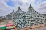 Zamfara Governor Distributes 120 Trucks of Fertiliser to Farmers