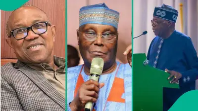 2027: Tinubu, Atiku, Obi Academic Records Published by INEC
