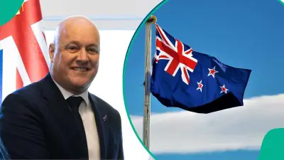 7 Benefits Foreigners Gain as New Zealand Citizens: Full List