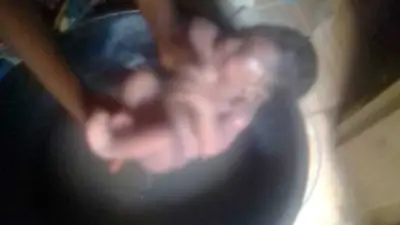 Abandoned newborn rescued alive from Benue forest