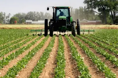 Agriculture PMI Hits 24th Month Growth, Private Sector Expands