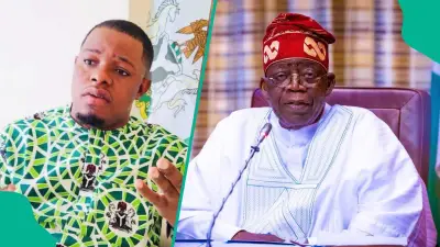 APC Chieftain: Tinubu's Certificates Saga Distracts From Real Issues