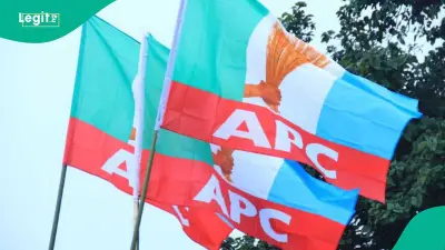 APC launches reconciliation in 10 states amid 2027 election tensions