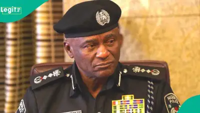Boko Haram kills police inspector, 7 others in Adamawa night raid