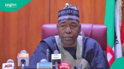 Borno Governor Zulum Approves Promotion Pay, Leave Grants for Civil Servants