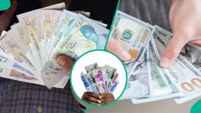 CBN FX Sales Hit $953.41m in March, Naira Trades at N1,357/$1