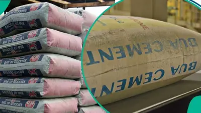Cement Price Review: Dangote, BUA, Others Face FCCPC Probe Over Manipulation