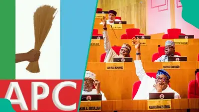 Court Nullifies APC Primary for Zamfara North, Orders Fresh Poll in 14 Days