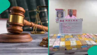 Court Orders NDLEA to Produce KayCee Luxury After 14-Day Detention Without Charge