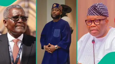 Davido: Akpabio, Dangote Called Me to Delete Tweets During Osun Election