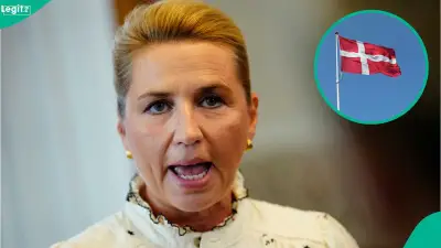 Denmark Lists 3 Foreigner Categories Eligible for Citizenship Without Residency