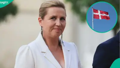 Denmark's 8-Year Residency Rule for Permanent Stay Explained